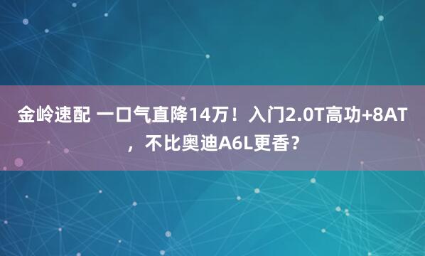 金岭速配 一口气直降14万！入门2.0T高功+8AT，不比奥迪A6L更香？