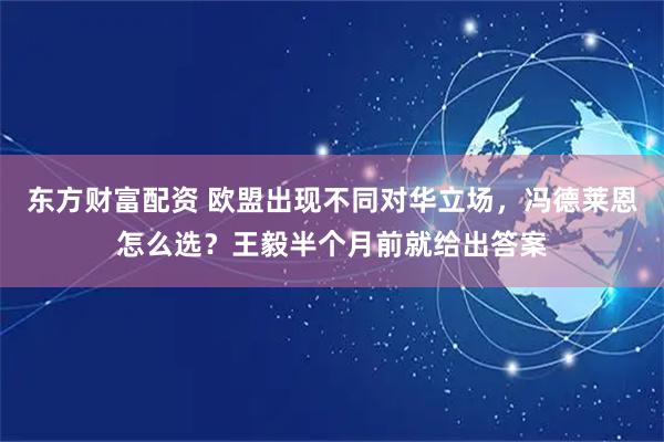 东方财富配资 欧盟出现不同对华立场，冯德莱恩怎么选？王毅半个月前就给出答案