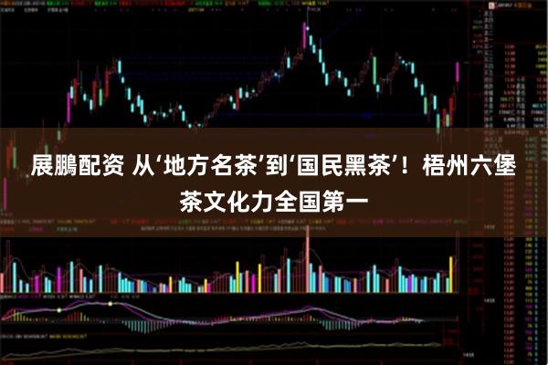 展鵬配资 从‘地方名茶’到‘国民黑茶’！梧州六堡茶文化力全国第一