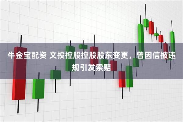 牛金宝配资 文投控股控股股东变更,曾因信披违规引发索赔